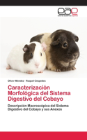 Caracterización Morfológica del Sistema Digestivo del Cobayo