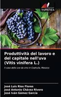 Produttività del lavoro e del capitale nell'uva (Vitis vinifera L.)