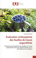 Évaluation antioxydante des feuilles de Cassia angustifolia