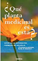Â¿QUE PLANTA MEDICINAL ES ESTA?