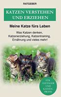 Katzen erziehen und verstehen