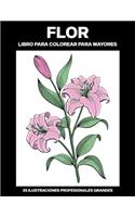 Flor Libro para Colorear para Mayores: Libro para colorear para Mayores fácil de llenars, 25 ilustraciones profesionales para aliviar el estrés y relajarse