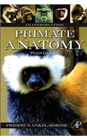 Primate Anatomy: An Introduction