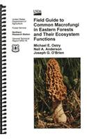 Field Guide to Common Macrofungi in Eastern Forests and Their Ecosystem Functions