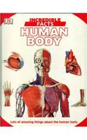 Incredible Facts Human Body