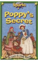 Travels of a Young Victorian:Poppy's Secret