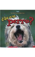 ¿Qué Es Un Perro? (What Is a Dog?)