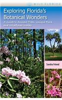 Exploring Florida'S Botanical Wonders