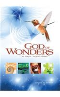God of Wonders