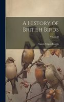 History of British Birds; Volume II