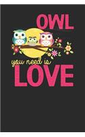 Owl You Need Is Love: Owls Notebook, Blank Lined (6 x 9 - 120 pages) Animal Themed Notebook for Daily Journal, Diary, and Gift