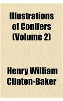 Conifers Volume 2