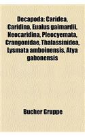 Decapoda: Caridea, Caridina, Eualus Gaimardii, Neocaridina, Pleocyemata, Crangonidae, Thalassinidea, Lysmata Amboinensis, Atya G(German)