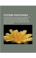 Systeme Endocrinien: Glande Surrenale, Hypothalamus, Glande Pineale, Testicule, Rein, Systeme Renine-Angiotensine-Aldosterone, Ovaire: (French)