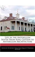 Life in the Antebellum South from King Cotton to Antebellum Architecture
