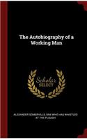 The Autobiography of a Working Man