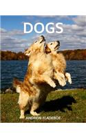 Dogs