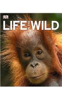 Life In The Wild