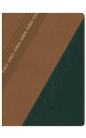 RVR 1960 Biblia de Estudio Holman, castaño/verde bosque con filigrana símil piel