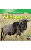 Wildebeests