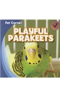 Playful Parakeets
