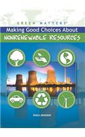 Making Good Choices about Nonrenewable Resources
