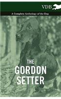 The Gordon Setter - A Complete Anthology of the Dog: (English)
