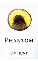 Phantom: Book 3 of the Endlessly Series