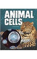 Animal Cells