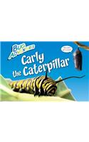 Carly the Caterpillar: (Bug Adventures)