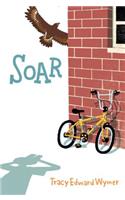 Soar