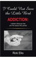 I Could Not Save the Little Bird: ADDICTION: A Mother's Birds-eye View and The Lessons She Learned
