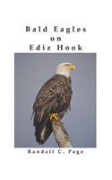 Bald Eagles on Ediz Hook