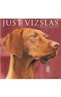 Just Vizslas 2020 Wall Calendar (Dog Breed Calendar)