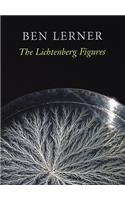The Lichtenberg Figures