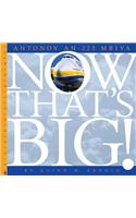 Antonov An-225 Mriya: (Now That's Big!)