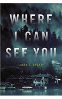 Where I Can See You