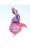 Sketch Book