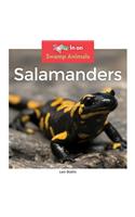 Salamanders