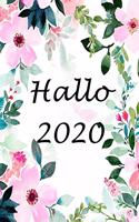 Hallo 2020: Vinatge Planer 2020