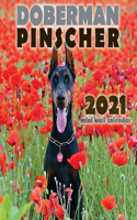 Doberman Pinscher 2021 Mini Wall Calendar