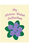 My African Violet Collection