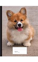 Corgi Puppy Composition Book Wide Ruled: Notebook 200 Pages