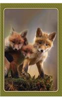 Fox Notebook