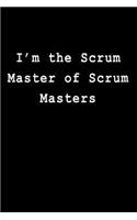 I'm the Scrum Master of Scrum Masters