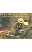 American View, An: Masterpieces of American Painting: the Brooklyn Musuem