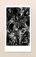 The White Review No.28