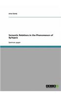 Semantic Relations in the Phenomenon of Syllepsis