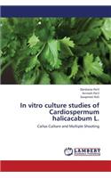 In vitro culture studies of Cardiospermum halicacabum L.