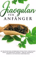 Jiaogulan für Anfänger